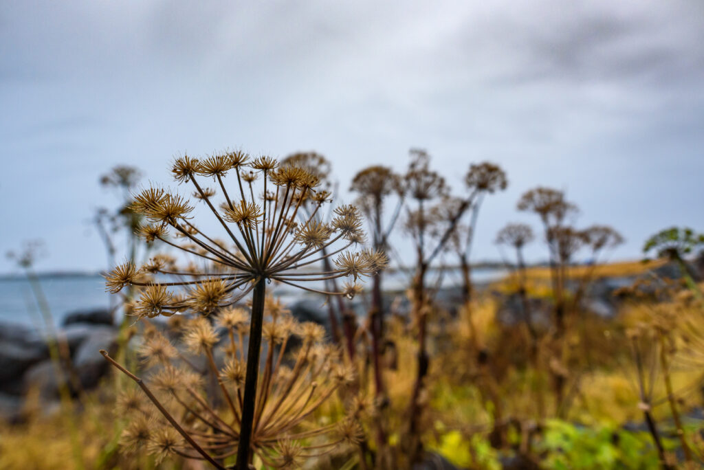 Eine Rundreise